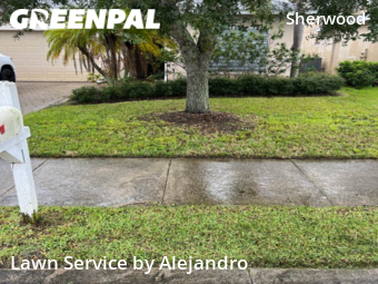 Lawn Service nearby Lehigh Acres, FL, 