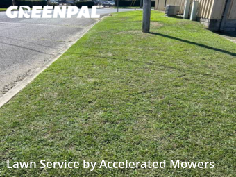Lawn Mow nearby Birmingham, AL, 