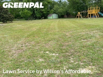 Lawn Mowing nearby Valdosta, GA, 