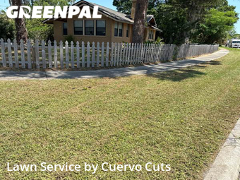 Lawn Care Service nearby St. Petersburg, FL, 