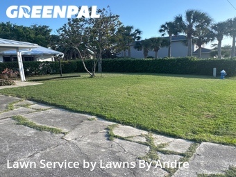 Lawn Mow nearby Palm Coast, FL, 