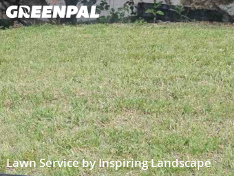 Lawn Care Servicein Centennial,80121,Grass Cutting by Inspiring Landscape, work completed in Nov , 2025