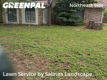 Lawn Cuttingin San Antonio,78239,Lawn Mowing Service by Salinas Landscape, work completed in Jun , 2026
