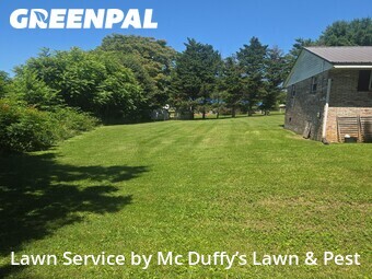 Lawn Cutting nearby Hamblen County, TN, 