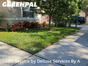 Mowing Services in Coconut Creek, 33073, Lawn Management by Deluxe Services By A, work completed in Dec , 2025