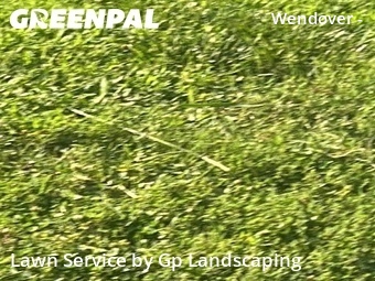 Yard Cutting nearby Charlotte, NC, 