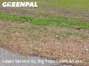 Grass Cutting nearby Altamonte Springs, FL, 