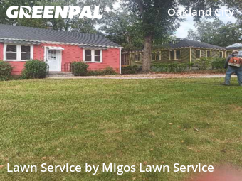 Yard Cuttingin Atlanta,30310,Lawn Maintenance by Migos Lawn Service, work completed in Dec , 2025