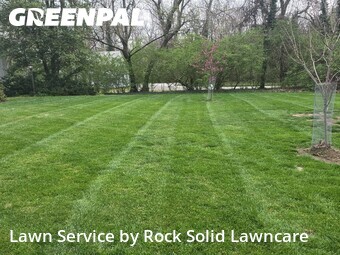 Lawn Care nearby Ladue, IL, 