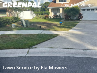 Lawn Mowing nearby Palm Harbor, FL, 