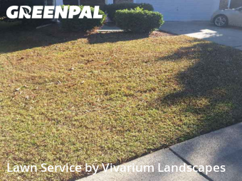 Grass Cutin Charlotte,28213,Yard Mowing by Vivarium Landscapes, work completed in Nov , 2025