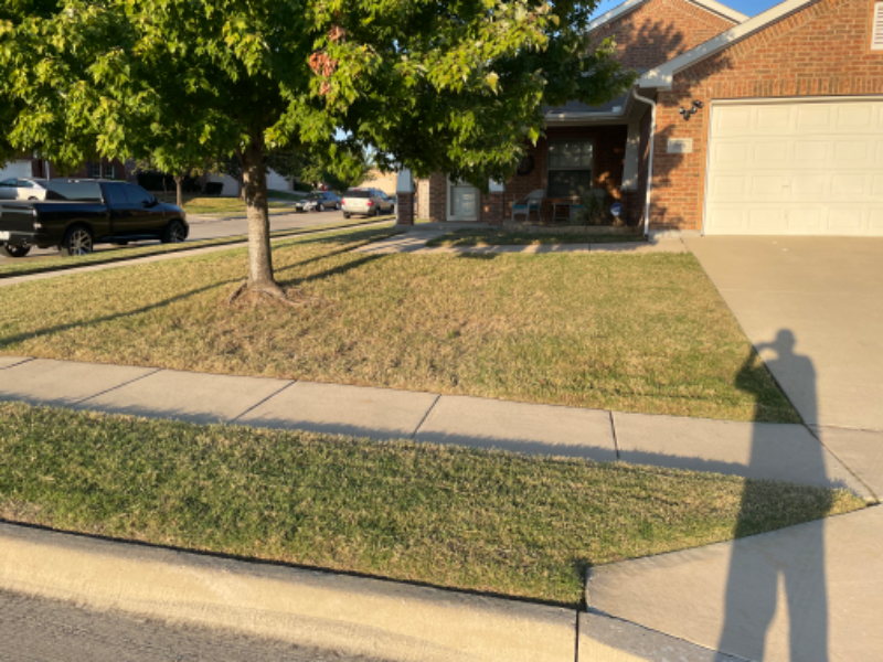 Order Lawn Care in Fort Worth, TX, 76131