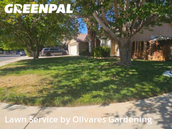 Grass Cut nearby Palmdale, CA, 