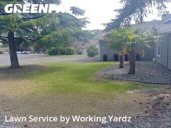 Lawn mowed in Federal Way, 98023