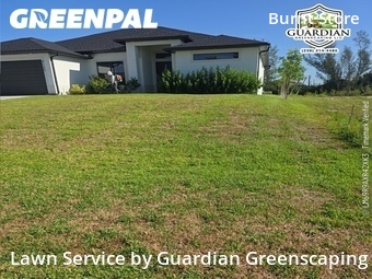 Lawn Cut nearby Cape Coral, FL, 