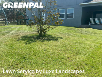 Lawn Maintenance nearby Oakland, FL, 
