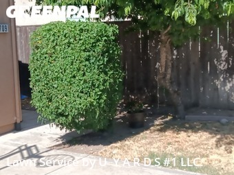 Lawn Maintenance nearby Modesto, CA, 