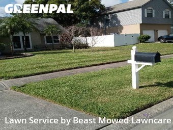 Lawn Cut nearby Saint Petersburg, FL, 