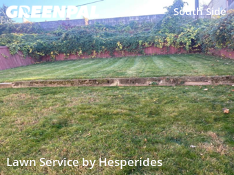 Grass Cutting nearby Pittsburgh, PA, 