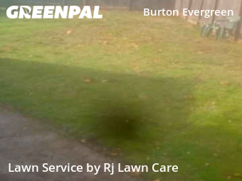 Garden Trimming in Vancouver, 98684, Weekly Mowing by Rj Lawn Care, work completed in Nov , 2025