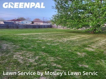 Lawn Mowing Service nearby Clarksville, TN, 