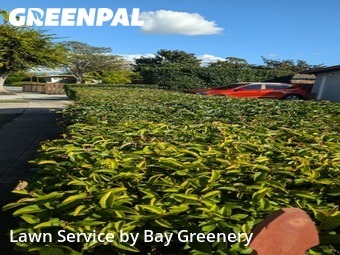 Work completed by local-lawn-cutting-services-in-Sunnyvale-CA