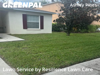 Lawn Mow nearby Wesley Chapel, FL, 
