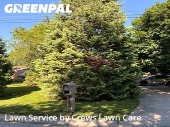 Lawn Mowing Service nearby Bowling Green, OH, 