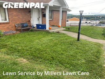 Lawn Maintenance nearby Rochester, PA, 
