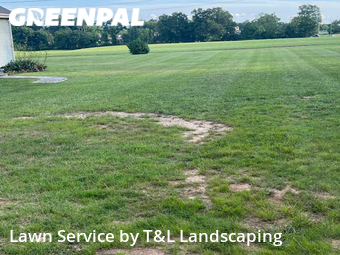 Lawn Mowing Service nearby Forest, VA, 