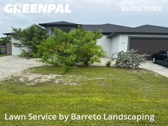 Lawn Cut nearby Cape Coral, FL, 