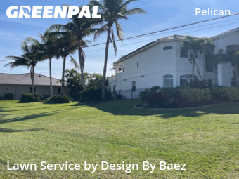 Lawn Cutting nearby Cape Coral, FL, 