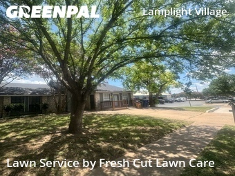Grass Cutting nearby Austin, TX, 