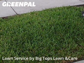Lawn Mowing Service nearby Altamonte Springs, FL, 