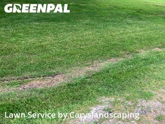 Yard Mowing nearby Twinsburg, OH, 