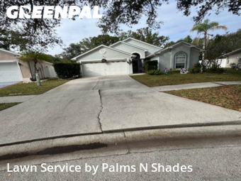 Lawn Mowin Tampa,33624,Yard Cutting by Palms N Shades , work completed in Dec , 2025