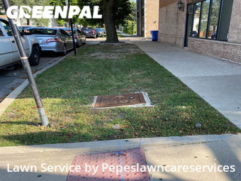 Lawn Service nearby Chicago, IL, 