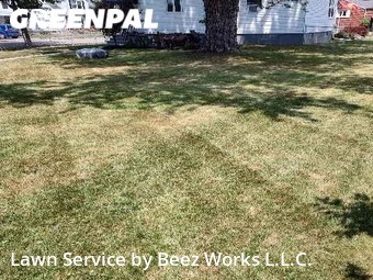 Lawn Maintenance nearby Cheektowaga, NY, 