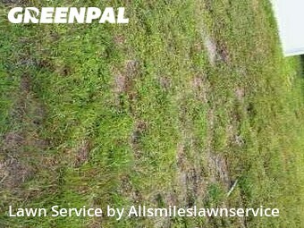 Yard Mowing nearby North Miami Beach, FL, 