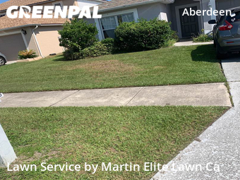 Grass Cut nearby Wesley Chapel, FL, 