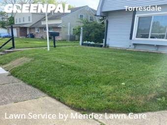 Lawn Cut nearby Philadelphia, PA, 