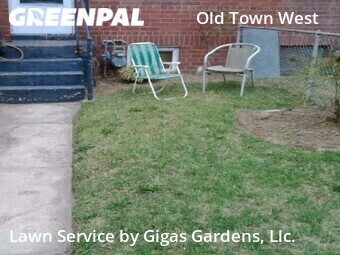 Lawn Cut nearby Alexandria, VA, 