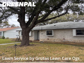 Lawn Mow nearby San Antonio, TX, 