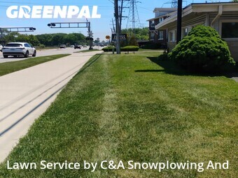 Lawn Mowing Service nearby Des Plaines, IL, 