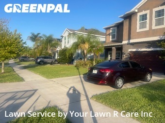 Grass Cut nearby Zephyrhills, FL, 