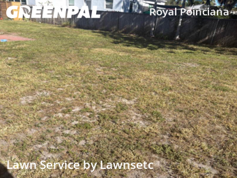 Landscaping Services In Hollywood,33020,Landscaping Services by Lawnsetc, work completed in Nov , 2025