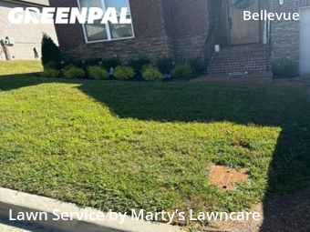 Yard Mowing nearby Nashville, TN, 