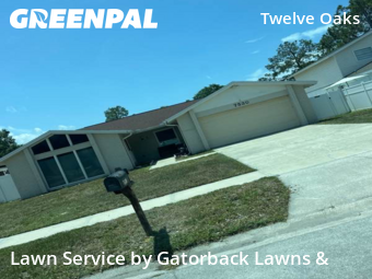 Lawn Mowing nearby Tampa, FL, 