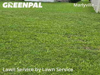 Lawn Service nearby New Orleans, LA, 