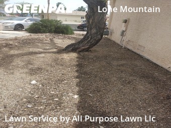 Grass Cutting nearby Las Vegas, NV, 